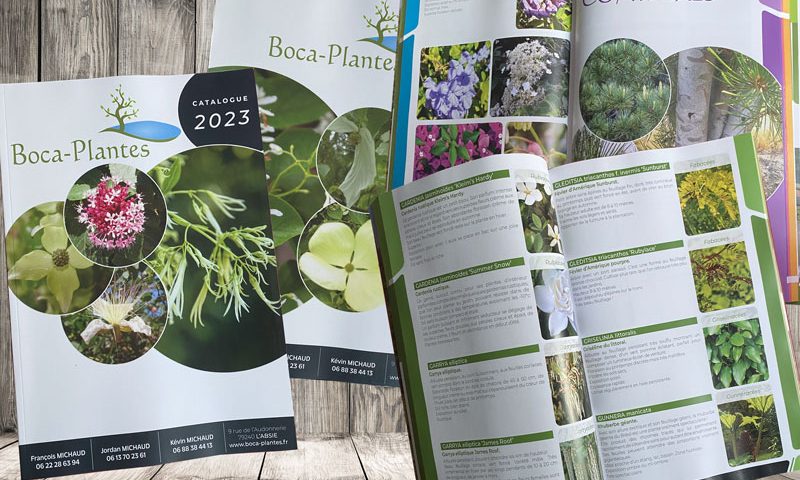 catalogue Boca plantes