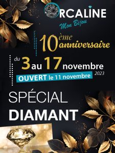 Création d'affiche bijouterie Orcaline à Moncoutant