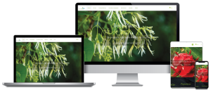 Site vitrine à Moncoutant-sur-Sèvre