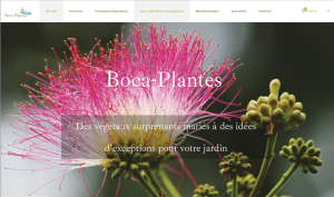 Création de site internet à Moncoutant