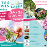 création de flyers Kallima web design à Moncoutant sur Sèvre