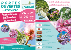 création de flyers Kallima web design à Moncoutant sur Sèvre